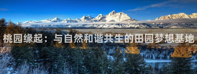 必一体育手机下载