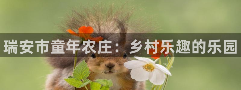 b体育官网下载入口app必一