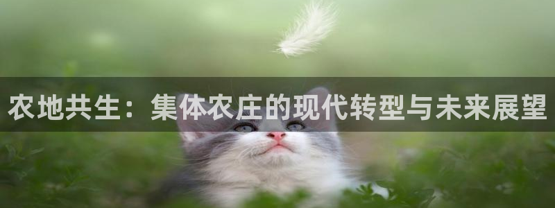 必一运动·(B-Sports)