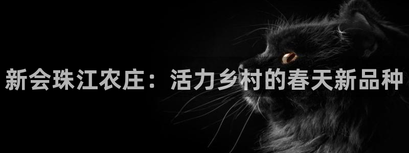 必一体育游戏玩法