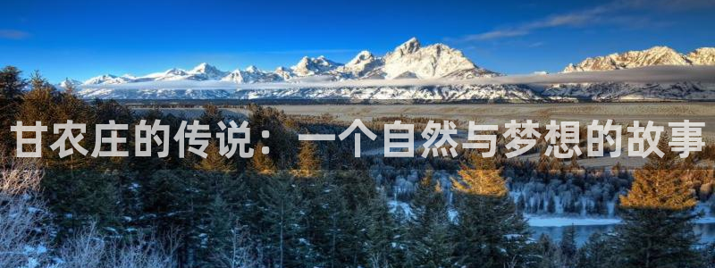 必一体育运动官网