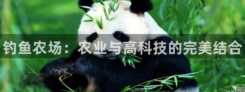 必一体育官方入口
