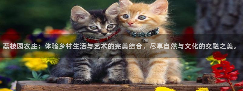 必一体育app下载安装