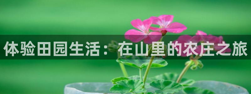 必一体育下载秀给网