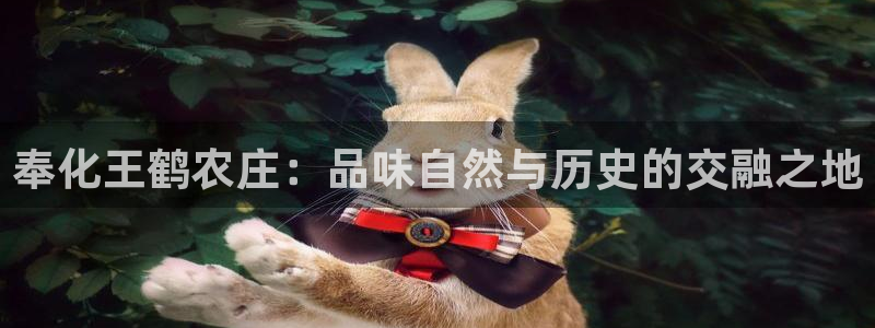 必一体育黑钱