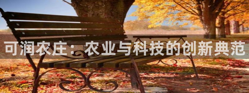 必一体育在线官网