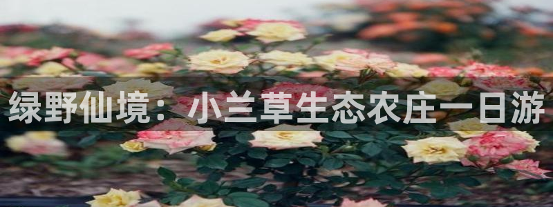 必一体育官网入口