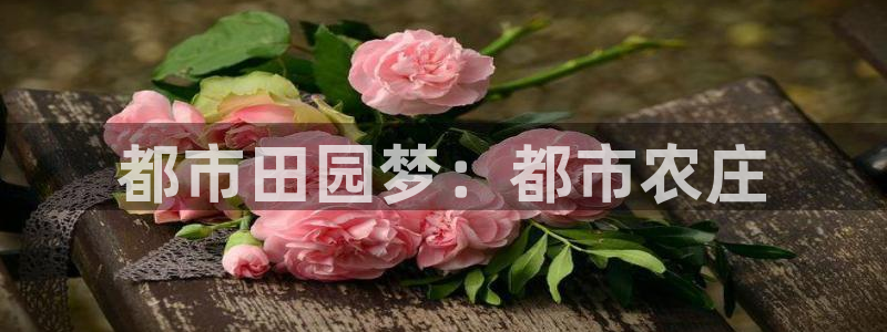 必一体育是哪里的台子