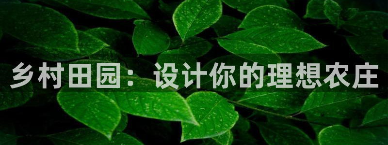 必一体育黑平台