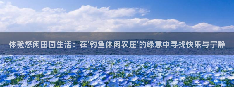 必一体育在哪下