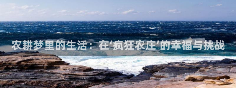 必一体育官网网站