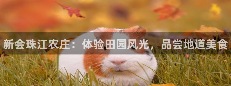 必一运动验证码