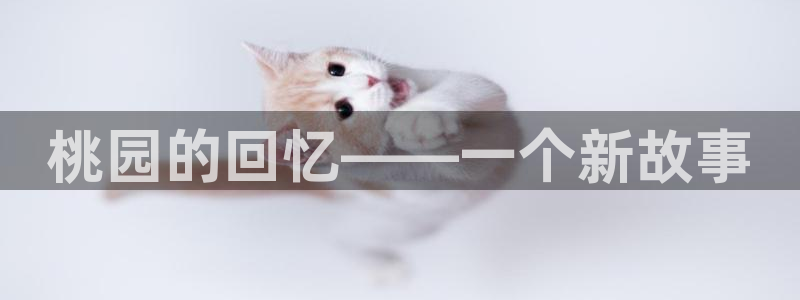 必一体育下载app下载