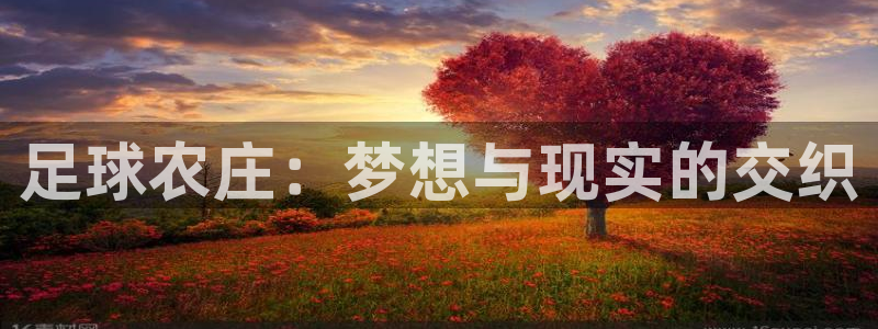 必一体育能提现大金额吗