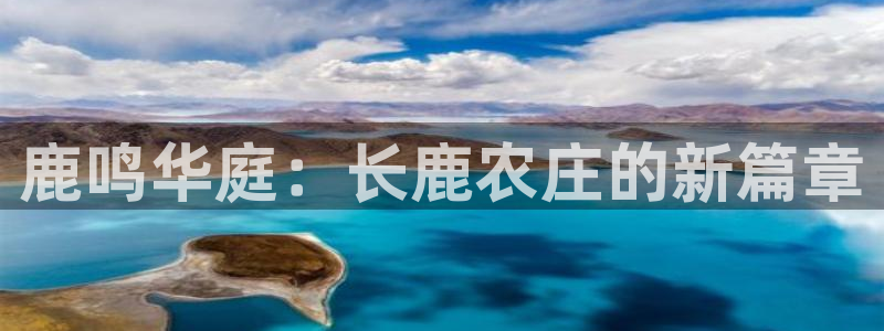 必一体育sport下载