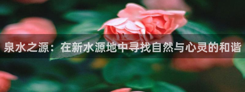 必一体育app下载