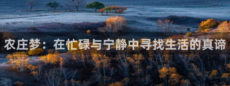 必一体育sport官方网站