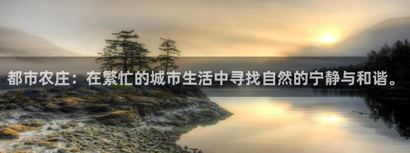 必一体育运动平台官网