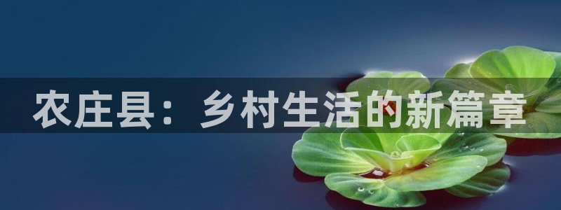 必一体育运动平台官网