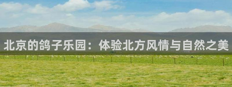 必一运动B-Sport官方网站入口