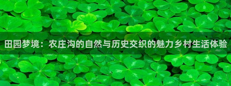 必一体育在线官网