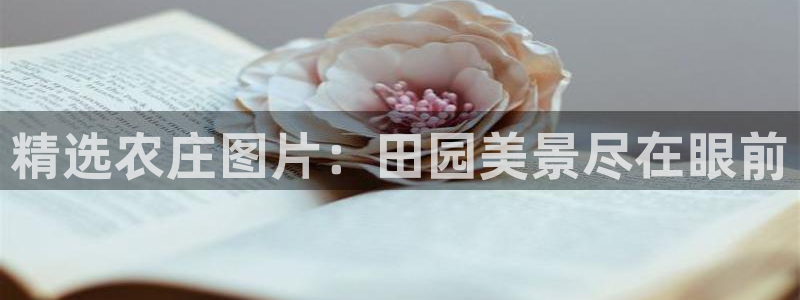 必一体育官方app下载