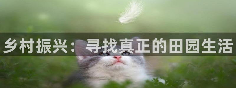 必一体育app下载安装