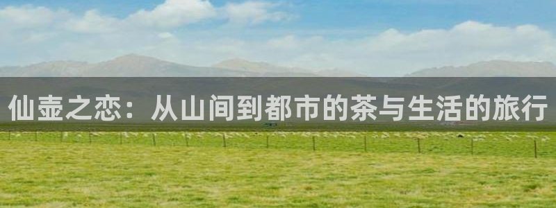 必一体育sport官网