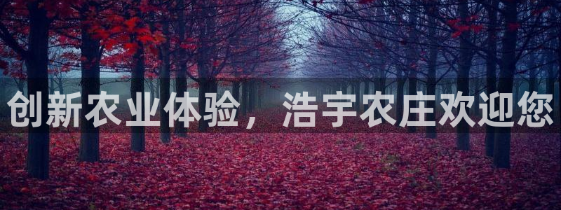 必一体育下载意思