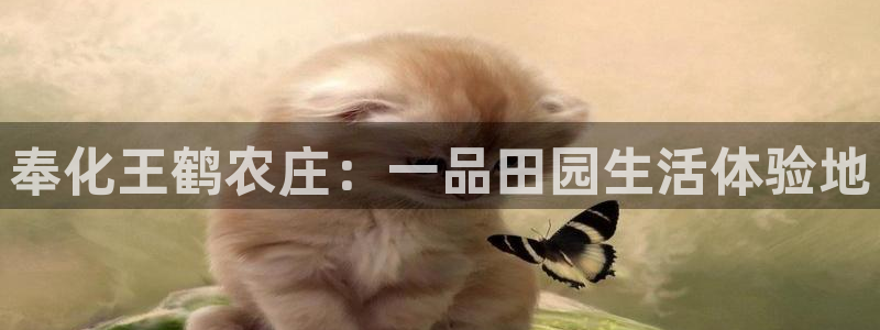 必一体育sport官网