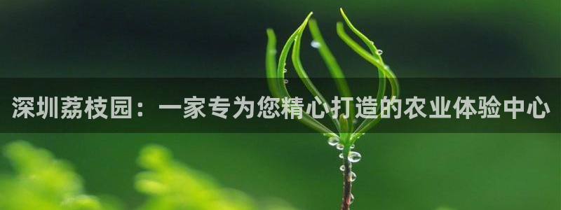 b体育必一运动网页版在线登录入口