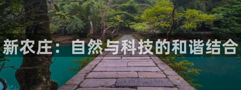 必一体育官网入口