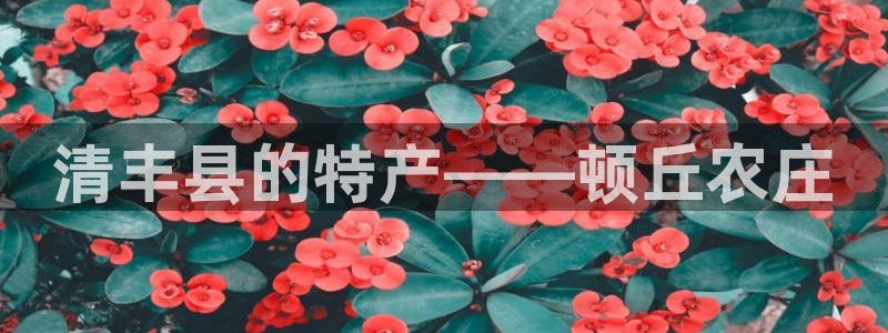 必一体育下载app下载