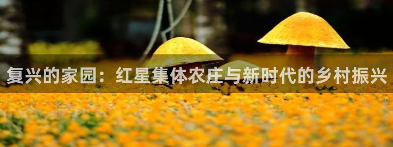 必一体育官网网址