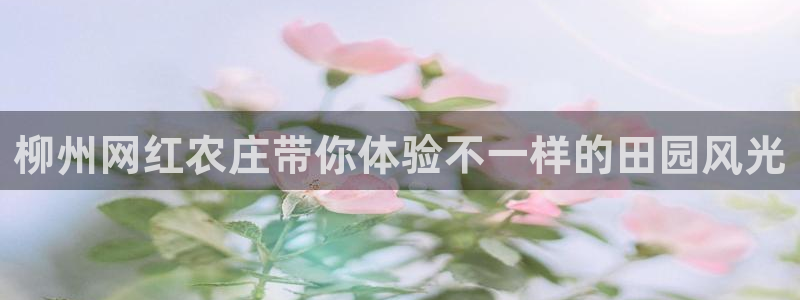 必十二和必一的副作用