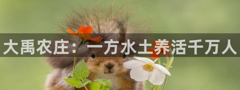 必一运动sport爱查股