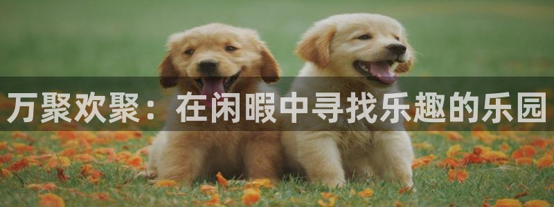 必一体育app下载