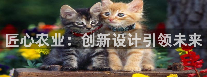 必一运动 b 体育素描版