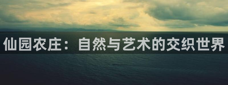 必一运动官网入口