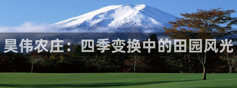 必一体育在哪下