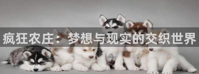 必一体育是哪里的台子