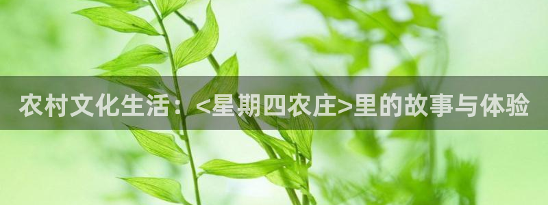 必一体育官网网址