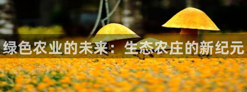 必一体育下载移动版