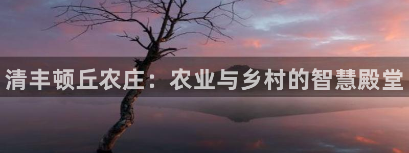 必一运动体育官网下载