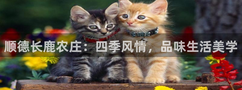 必一运动B-Sport官方网站入口