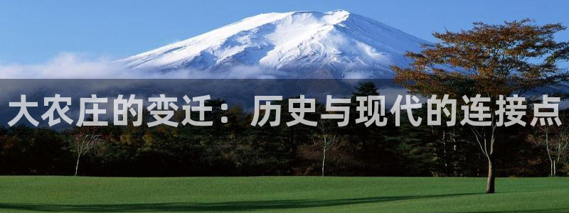 必一体育是哪里的台子