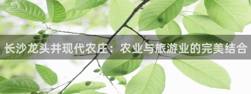 必一体育最新官网入口首页
