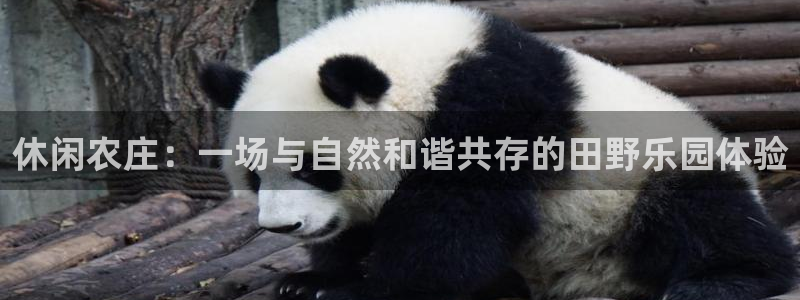 必一运动·(B-Sports)