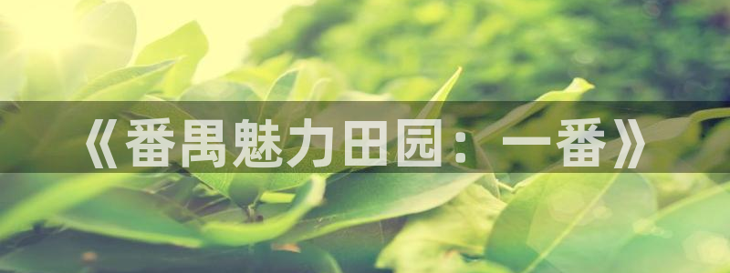 必一运动B-Sport官方网站入口