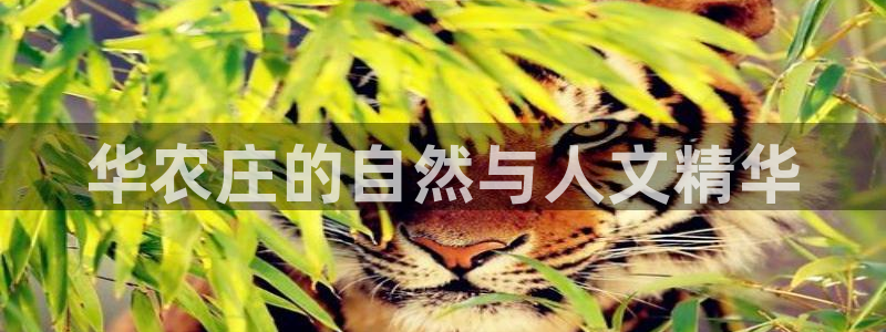 必一体育app下载